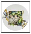 Possum Plate by Anne Blake