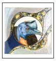 Link to Cassowary Plate page