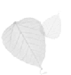 leaf image