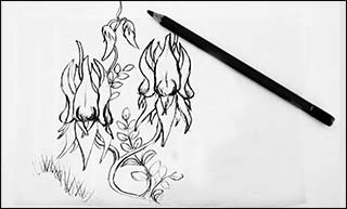1-sketch design