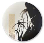 Silhuette Spider Orchid plate by Anne Blake